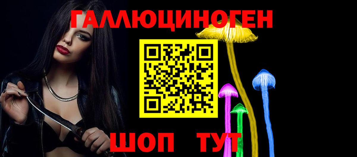 Галлюциногенные грибы Psilocybe  Вход с VPN  Гатчина  Галлюциногенные грибы Psilocybine cubensis 
